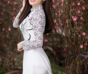 合肥捐卵助孕机构有哪些，附2024捐卵试管攻略！