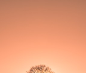 合肥捐卵中心机构，共10家医院最新排名参考！